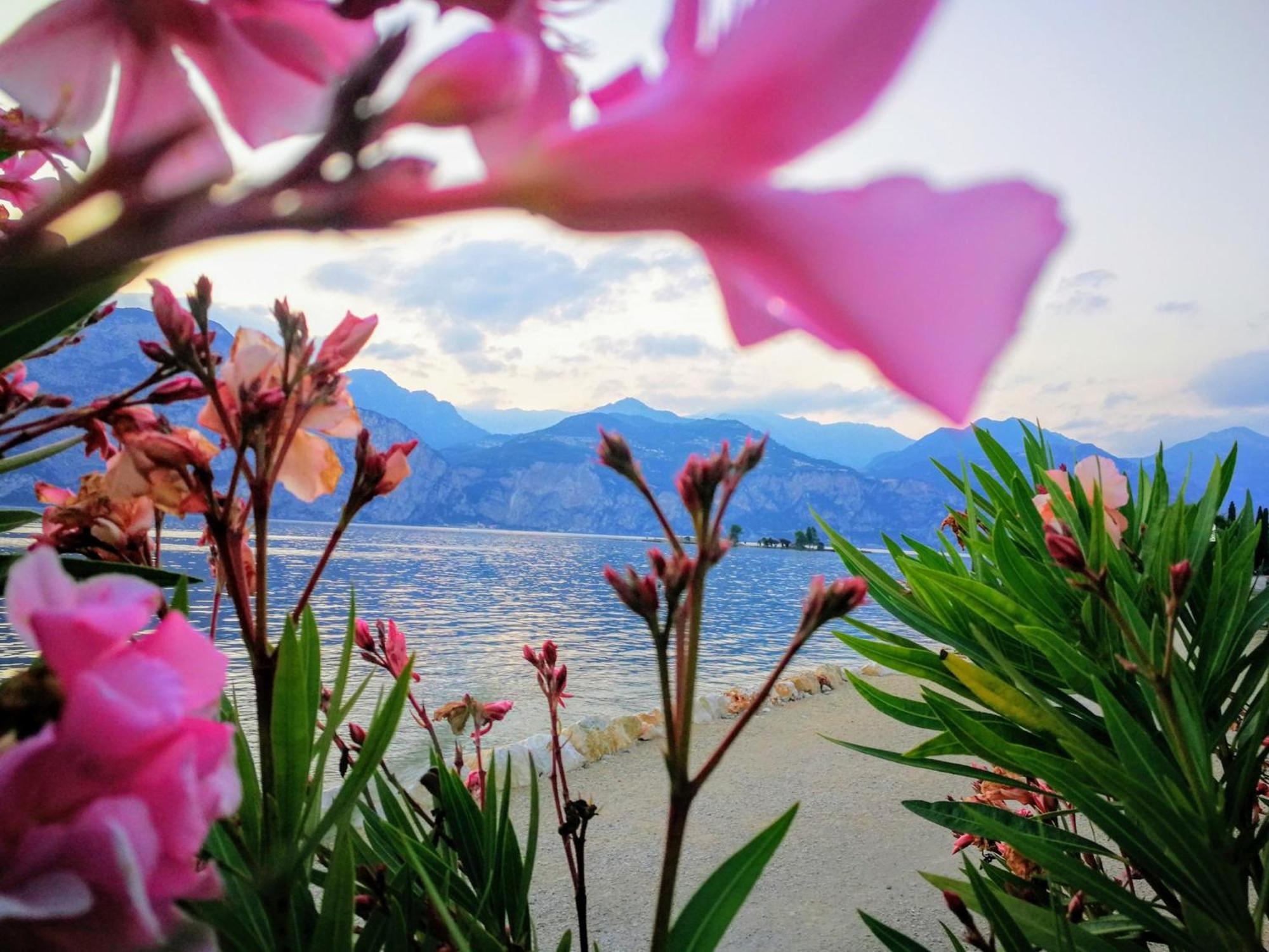 Hotel Drago - Garda Lake Collection 布雷佐内加尔达 外观 照片